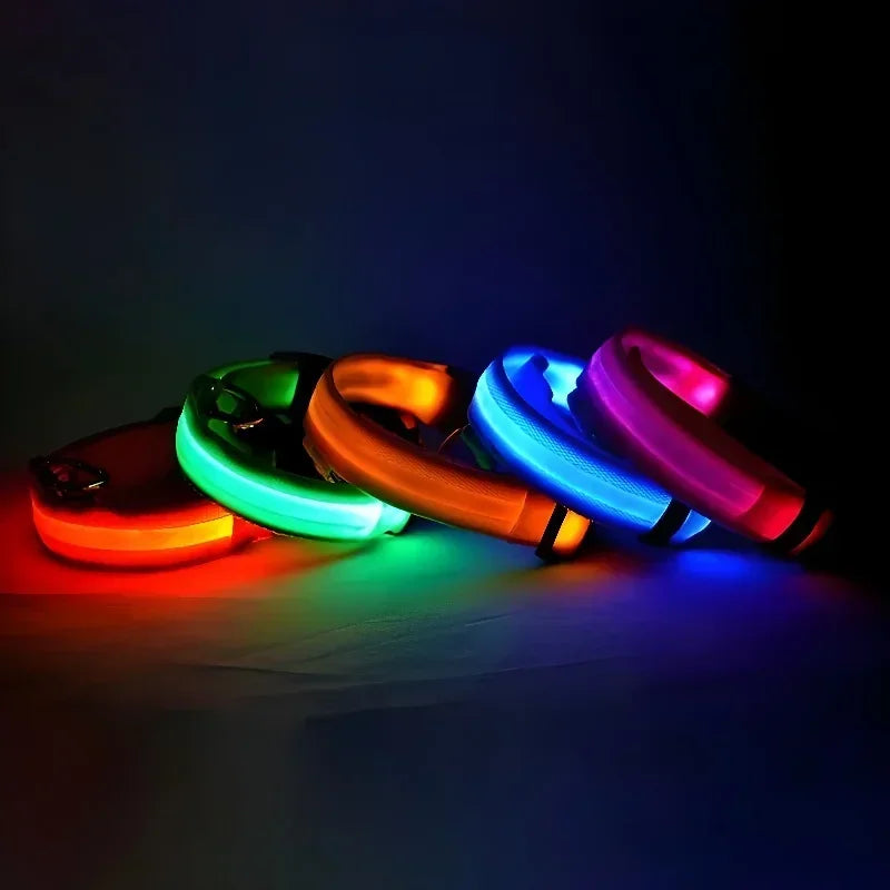 PAAWZY LED Hondenhalsband – Veilig Licht in het Donker