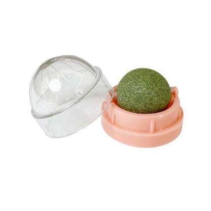 PAAWZY Kattenmunt Bal – Wand-Catnip Speeltje