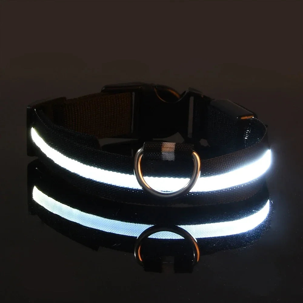 PAAWZY LED Hondenhalsband – Veilig Licht in het Donker