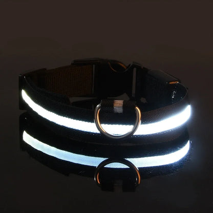 PAAWZY LED Hondenhalsband – Veilig Licht in het Donker