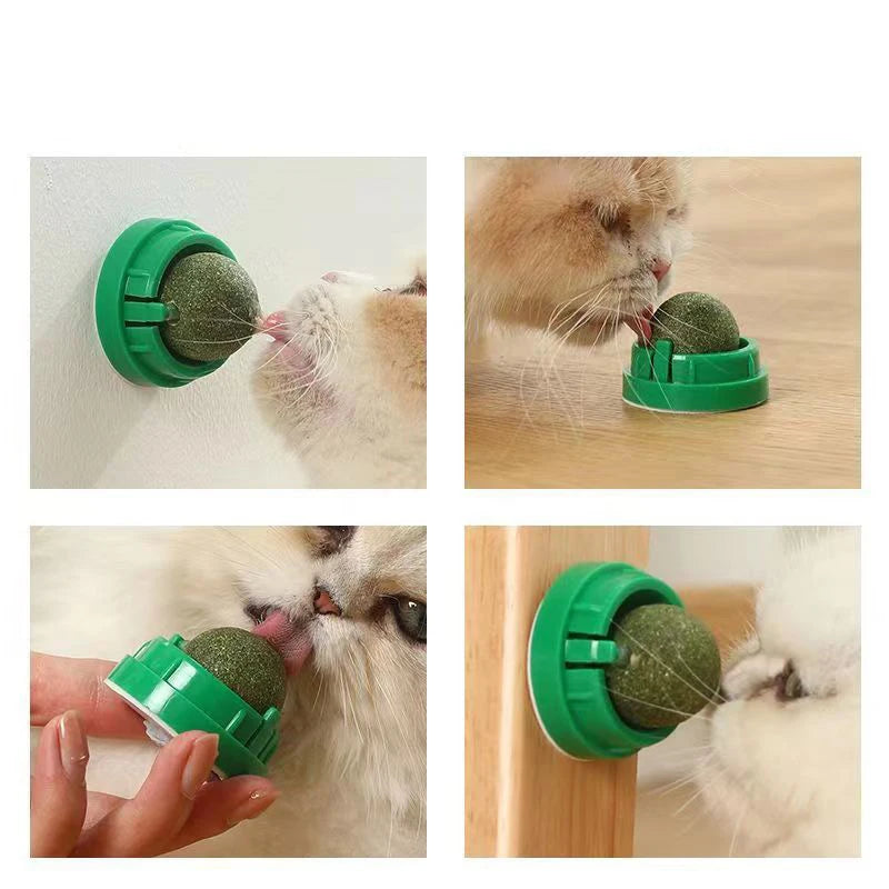 PAAWZY Kattenmunt Bal – Wand-Catnip Speeltje