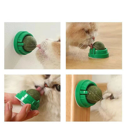PAAWZY Kattenmunt Bal – Wand-Catnip Speeltje