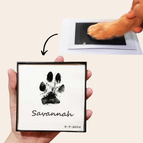 PAAWZY Pootafdruk Kit – Herinneringsset voor Huisdieren