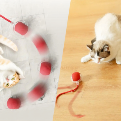 PAAWZY Interactieve Speelbal – Automatische Rollende Kattenbal