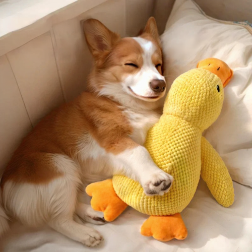 PAAWZY Knuffel Eend met Geluid – Honden Speelknuffel